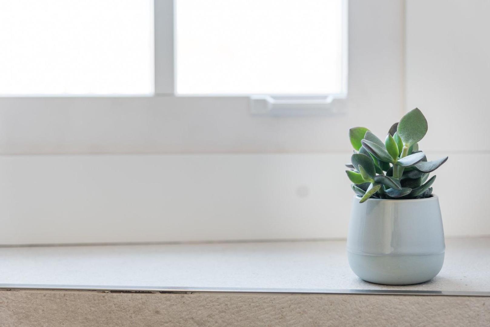 Guestready - Chic Retreat In The Heart Of Porto Apartment Екстериор снимка